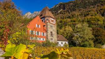 The Red House in Vaduz, surrounded by autumnal grapevines on the hillside