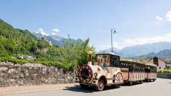 The Citytrain Vaduz travels through the picturesque countryside with the Alps in the background.