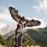 Falconer Norman Vögeli presents a majestic golden eagle against an alpine mountain backdrop—a breathtaking natural spectacle high in the sky.