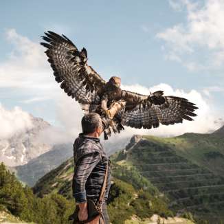 Falconer Norman Vögeli presents a majestic golden eagle against an alpine mountain backdrop—a breathtaking natural spectacle high in the sky.